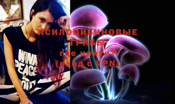 гашик Абдулино